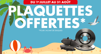 PLAQUETTES OFFERTES !